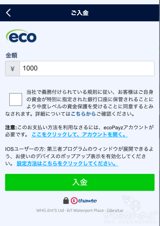 ブックメーカーへの入金方法