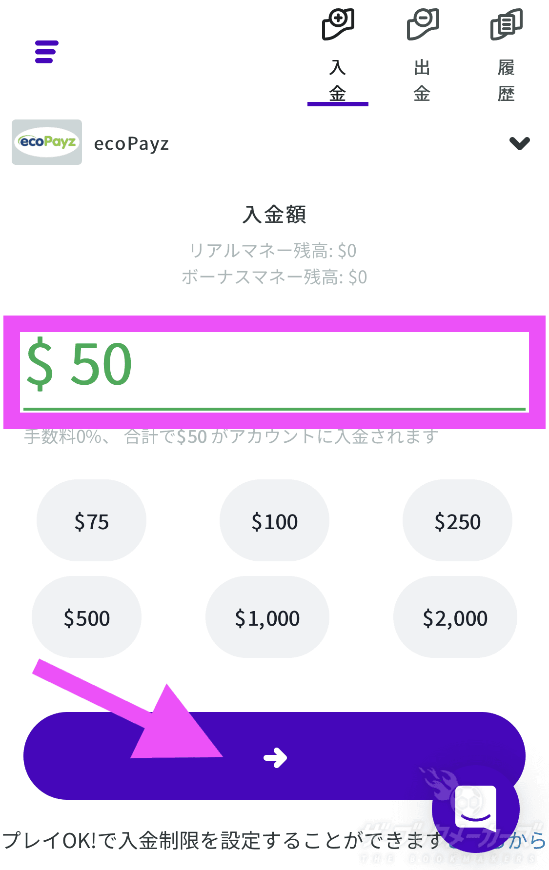 カスモエコペイズ入金