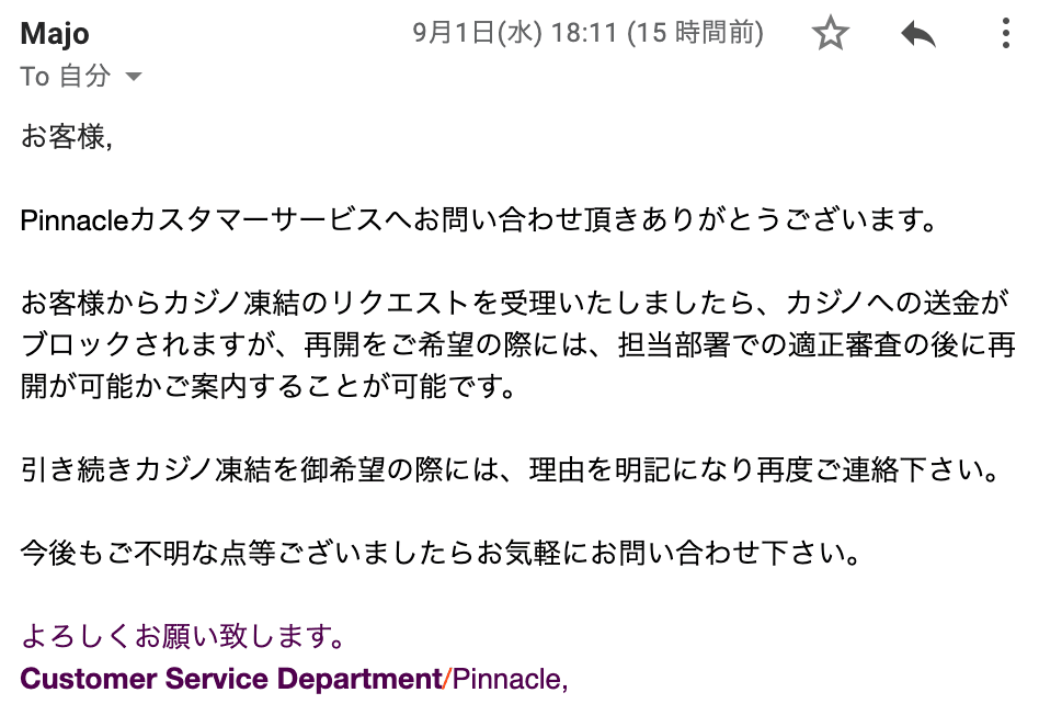 ピナクルでカジノをやらない設定