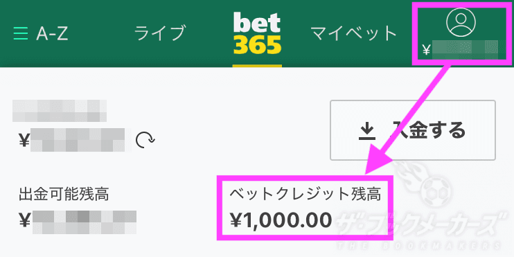 bet365ベットクレジット残高