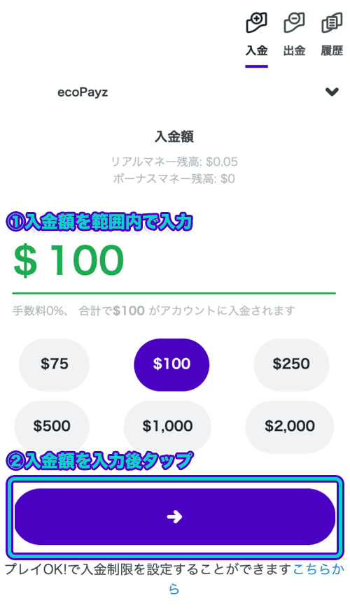 カスモ　ecoPayz　入金