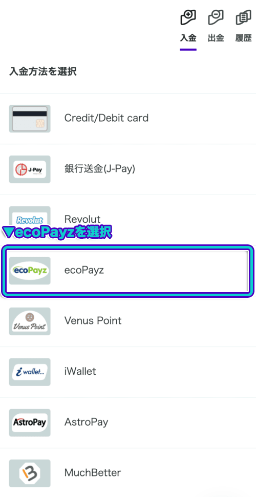 カスモ　ecoPayz　入金