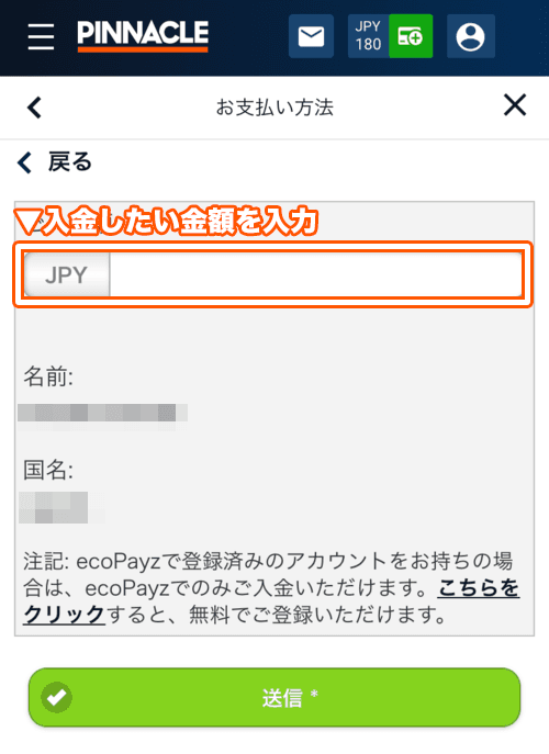 必要な情報と金額を入力