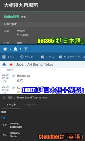 相撲ベットにおけるおすすめブックメーカー3サイトの表記方法