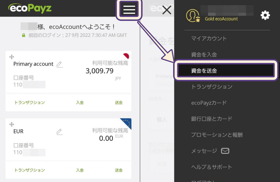 エコペイズ 資金を送金