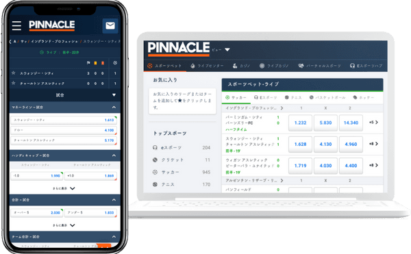 PINNACLE PCMobile画像