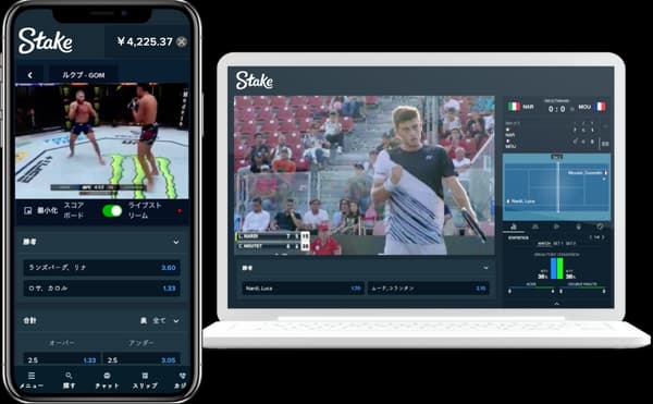 Stake.com Mobile/PC画面
