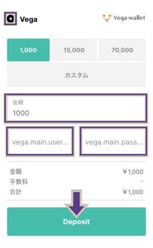 ベガウォレットの入金額とユーザー名、パスワードを選択