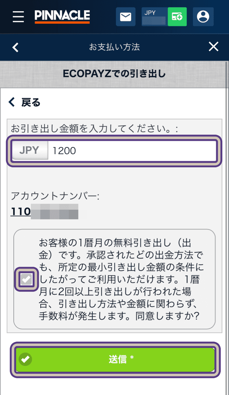 ピナクルでペイズから出金する方法、金額を入力