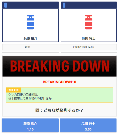 ブレイキングダウン10　画像