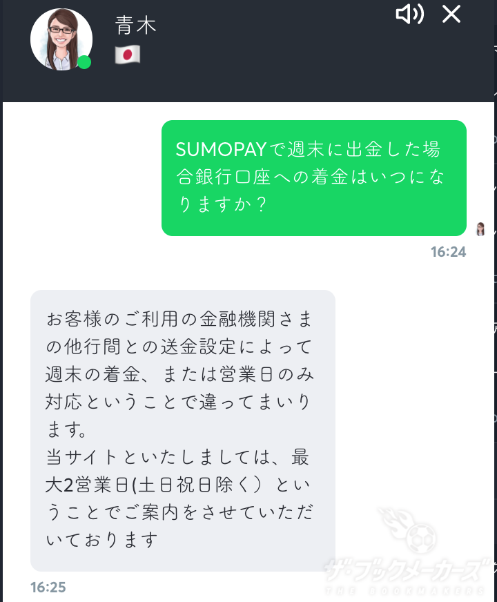 SUMO PAYサポートチャット画面