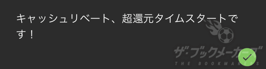 リベート使い方