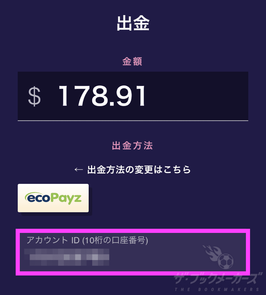 ギャンボラエコペイズ出金