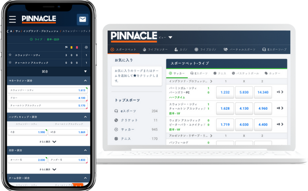 Pinnacle PC/Mobile画面