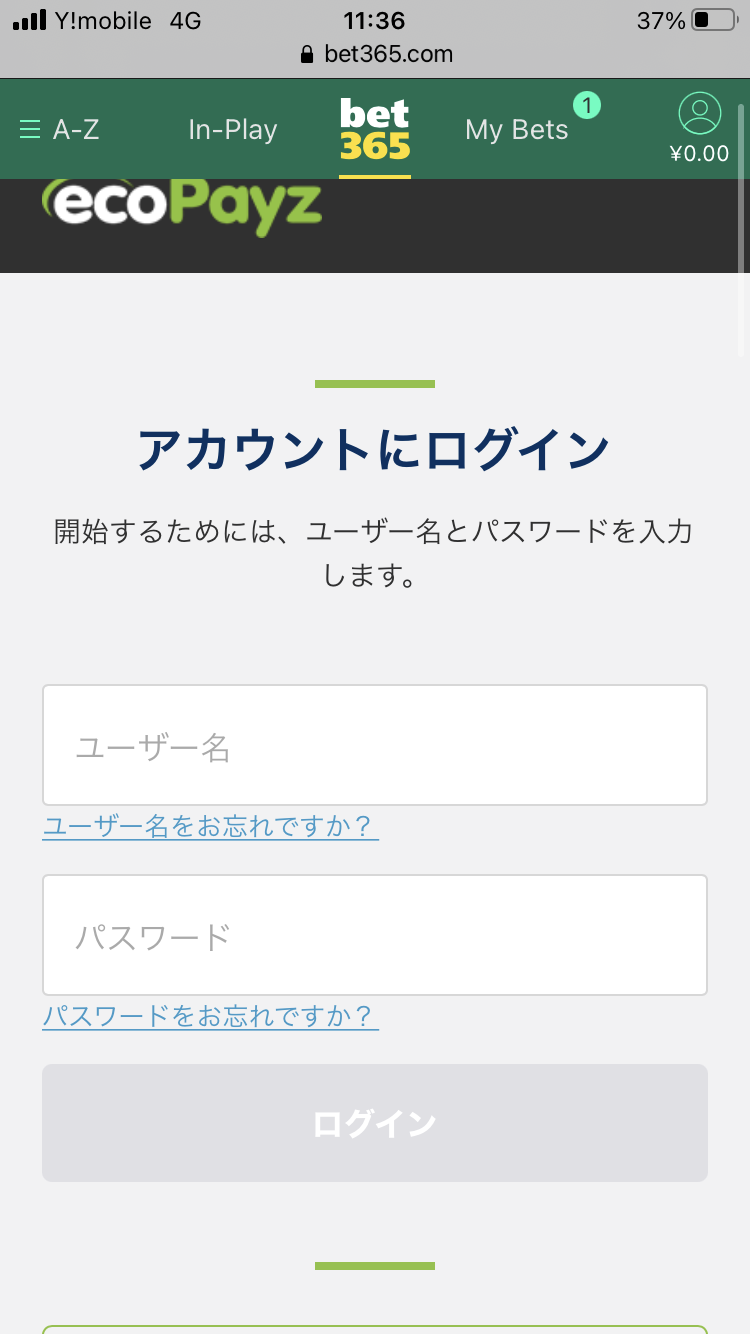 モンテカルロ法をバカラで応用(ベッティングシステム モンテカルロ法をバカラで応用(ベッティングシステム