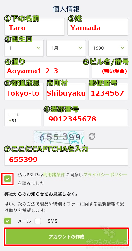 エコペイズ(ecoPayz)登録画面②
