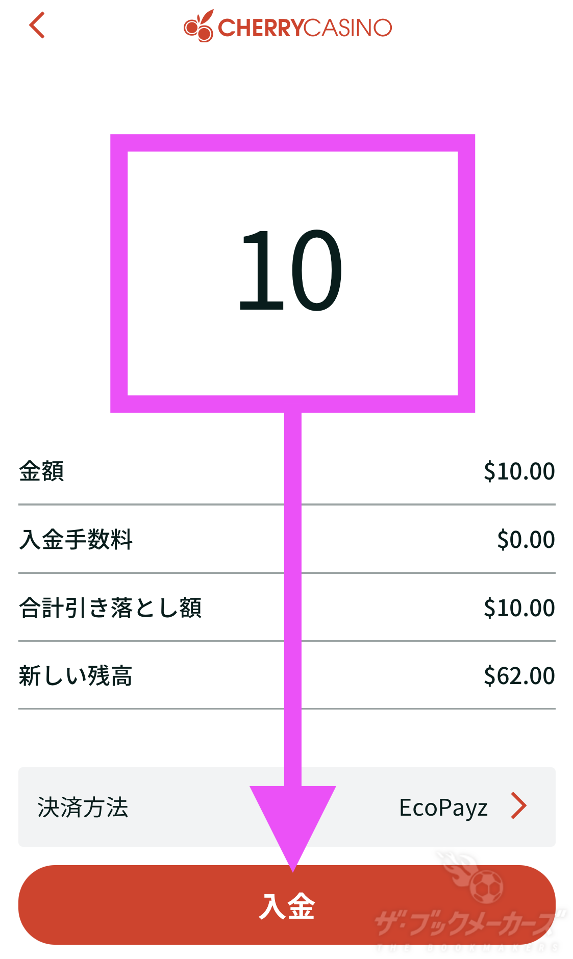 チェリー入金エコペイズ