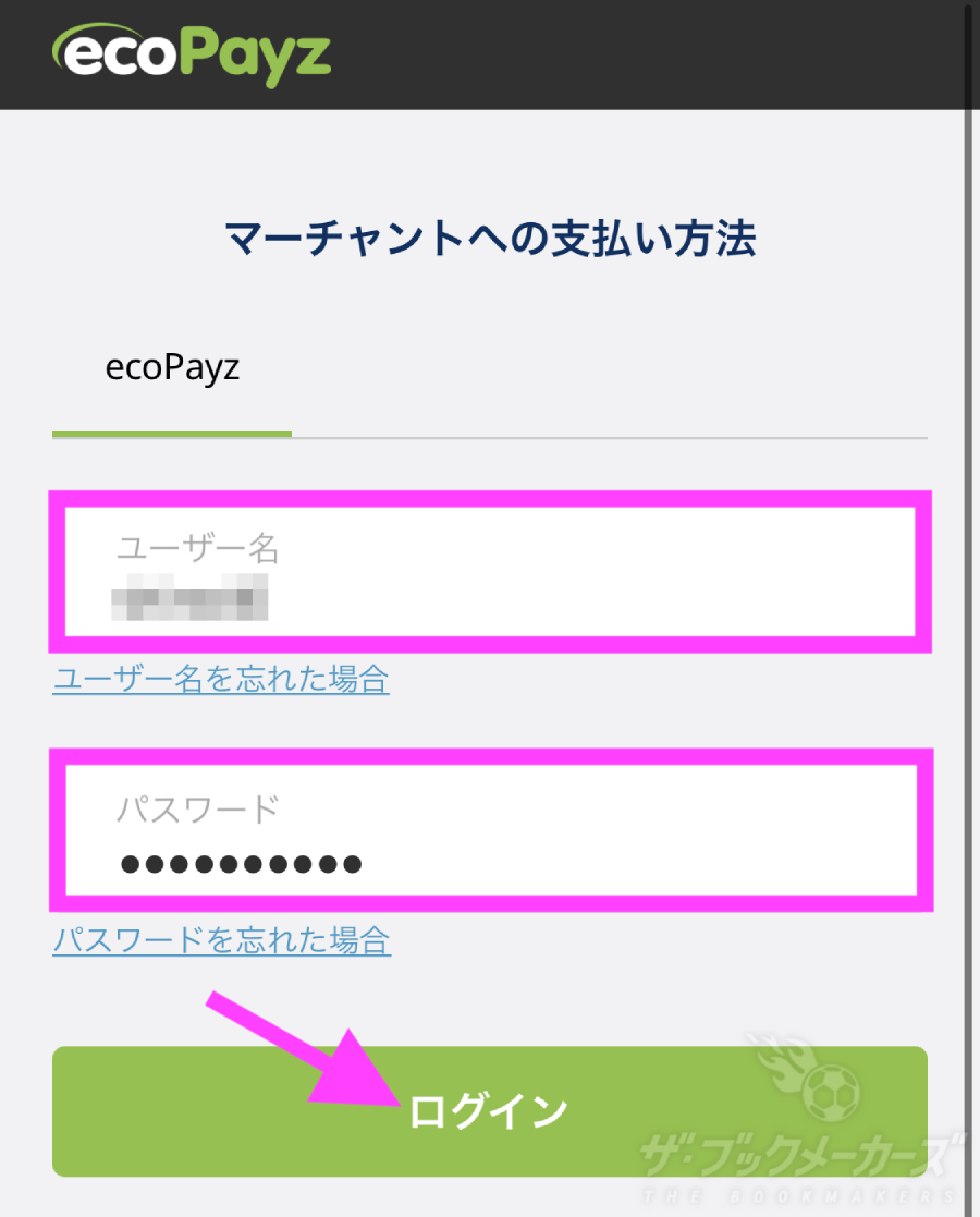 チェリー入金エコペイズ