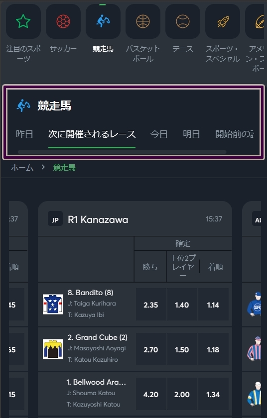 アイオー競馬 賭け方2