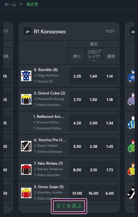アイオー競馬 賭け方4