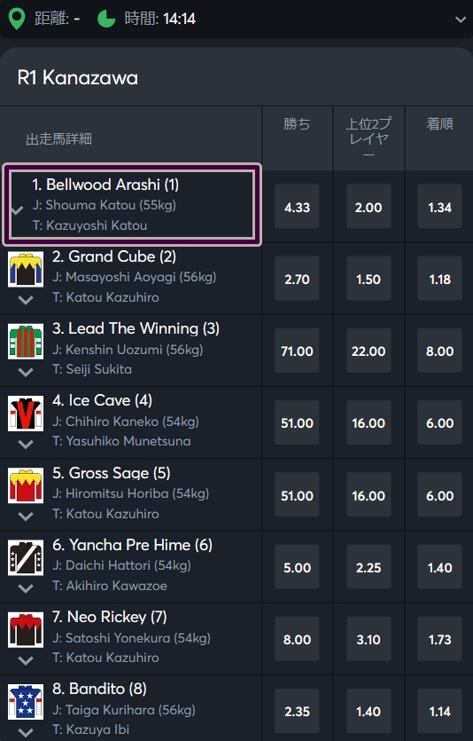 アイオー競馬 賭け方5