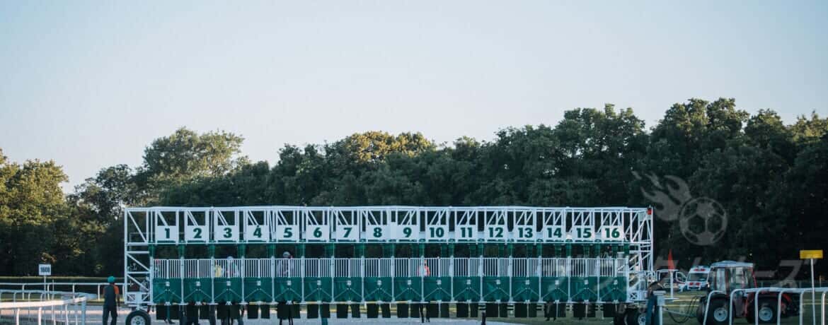 海外競馬の中継・ライブストリーミング配信の視聴方法