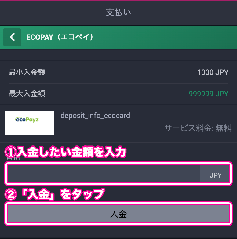 ハッピースター 必要情報を入力