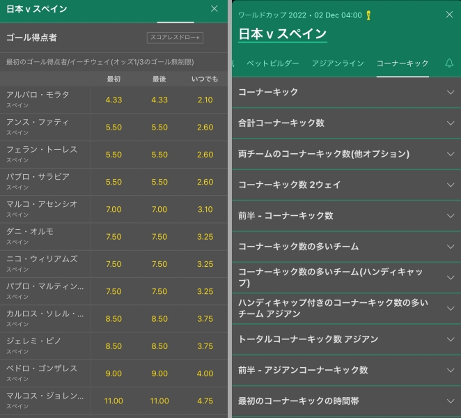 W杯 日本対スペインの画面