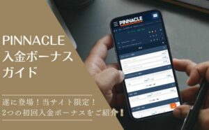 ピナクルボーナストップ画像